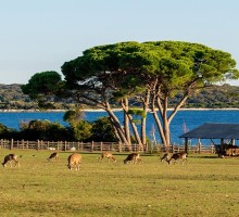 Opatija-Rijeka-Pula-Brijuni-Trst Mala 3